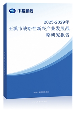 2025-2029ϪБ(zhn)da(chn)I(y)l(f)չ(zhn)о(bo)