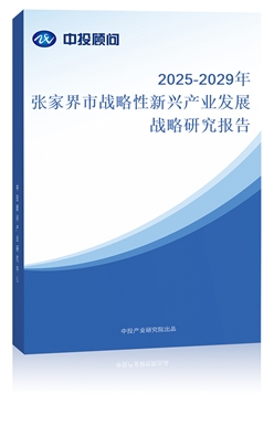 2025-2029ꏈҽБ(zhn)da(chn)I(y)l(f)չ(zhn)о